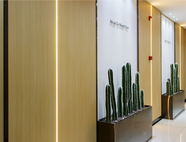 Aukšto slėgio laminato plokštė